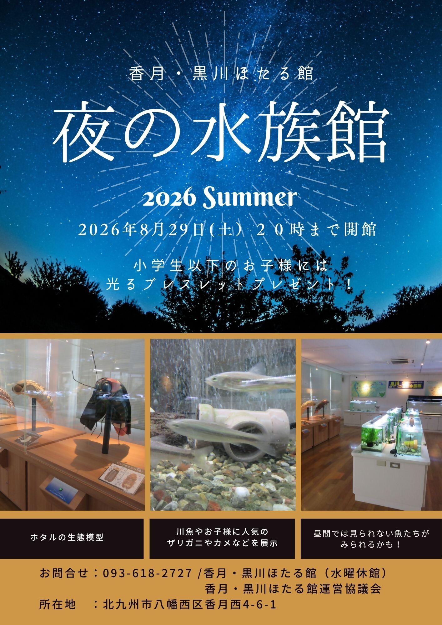 夜の水族館2026 Summer ポスター