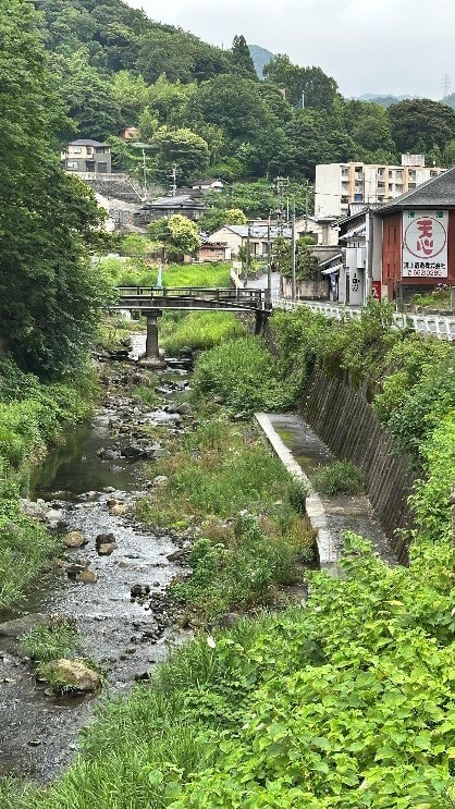 山あいの住宅地を流れる、草に囲まれた小川