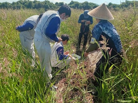 草地で網の中の水生生物をのぞき込んで確認する人たち