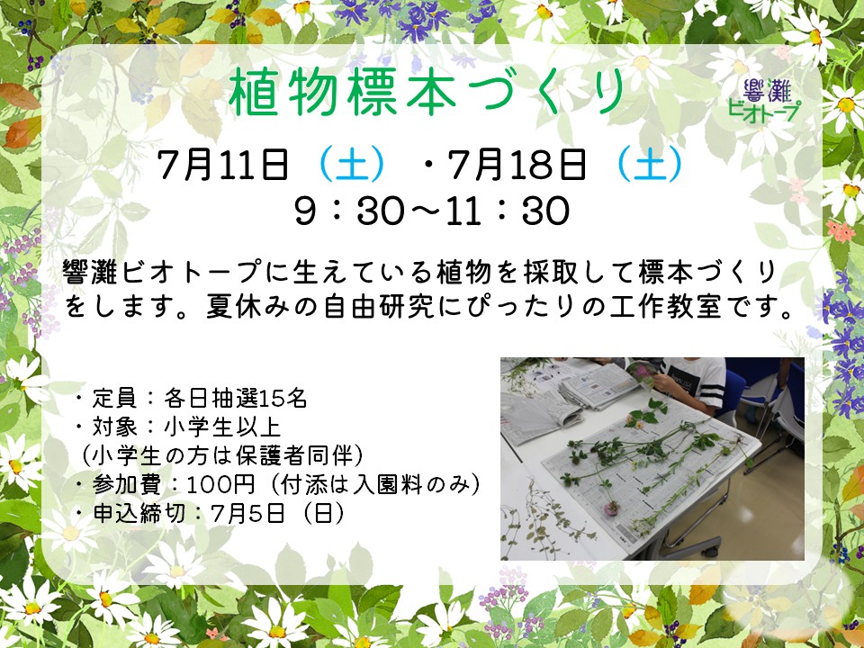 植物標本づくり