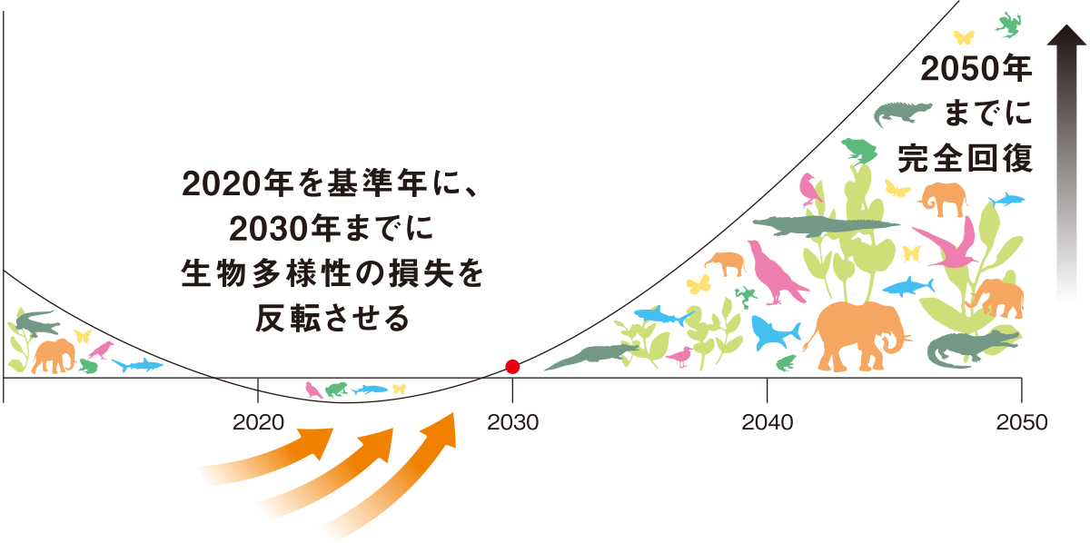 ネイチャーポジティブ：自然の損失を止め、回復に転換するグラフ