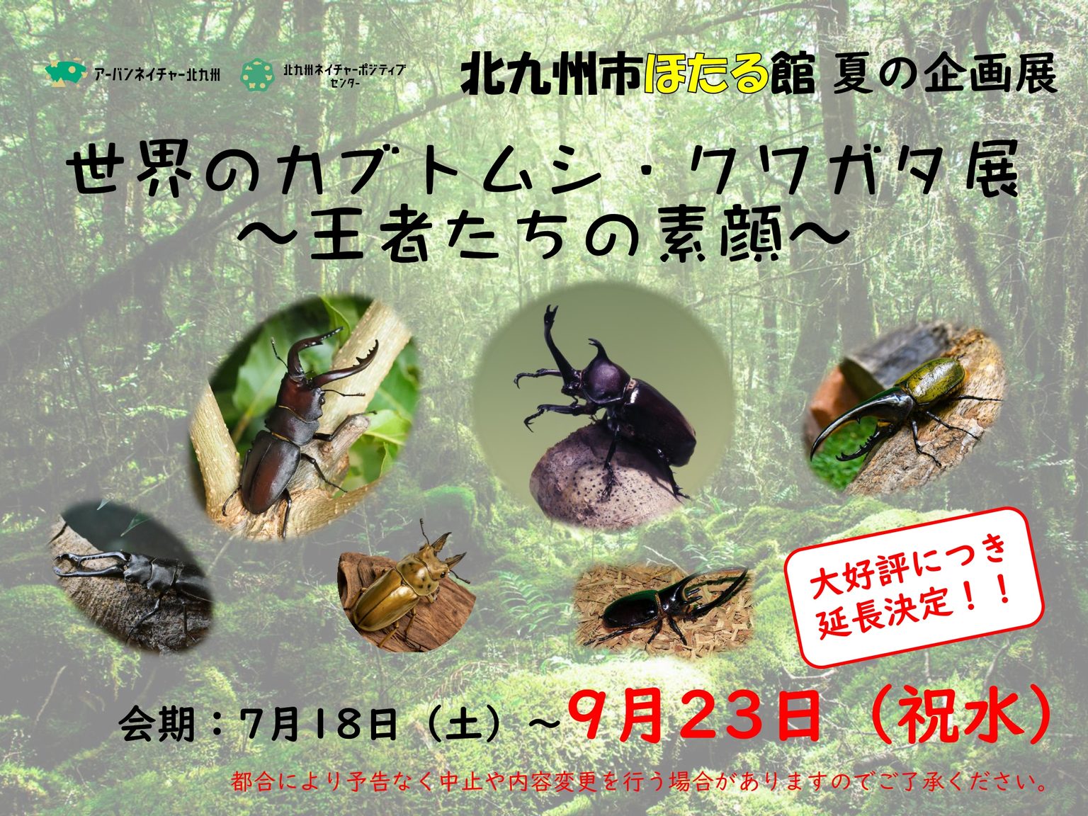 夏の企画展「世界のカブトムシ・クワガタ展～王者たちの素顔～」