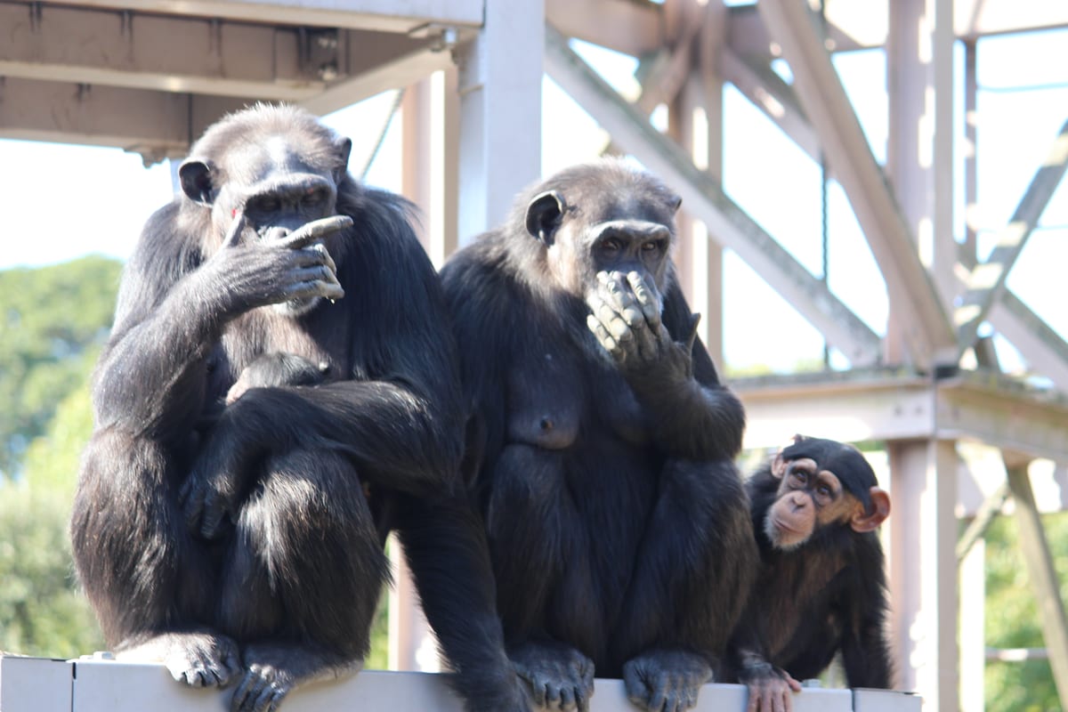 到津の森公園
