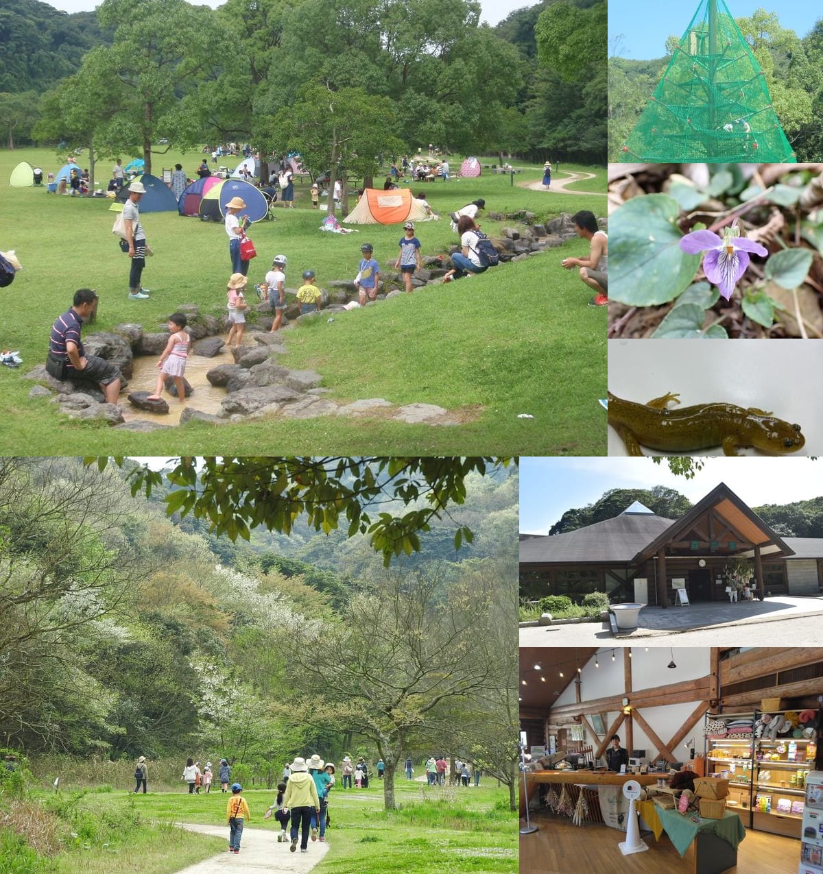 山田緑地