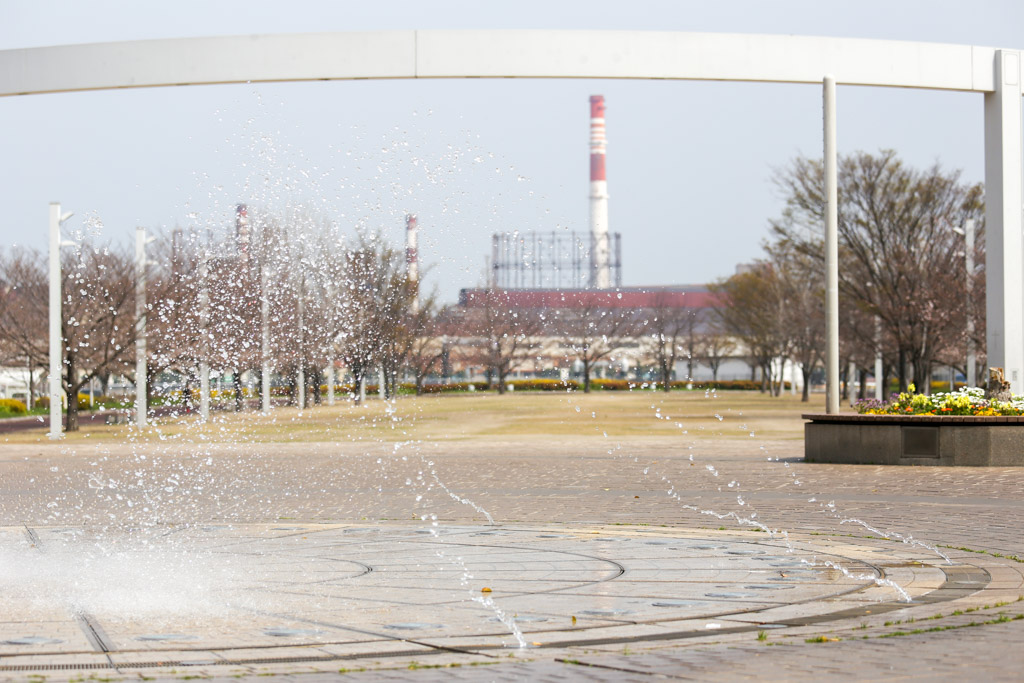 あさの汐風公園　桜　噴水の写真10