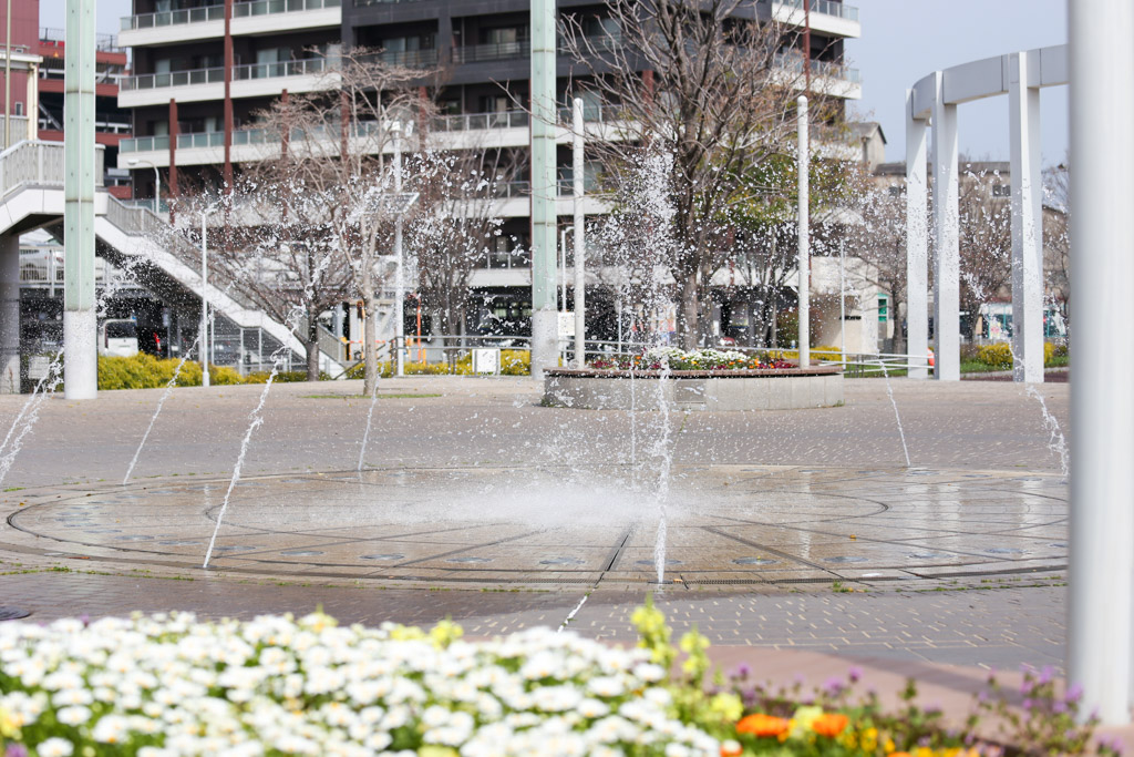 あさの汐風公園　桜　噴水の写真13