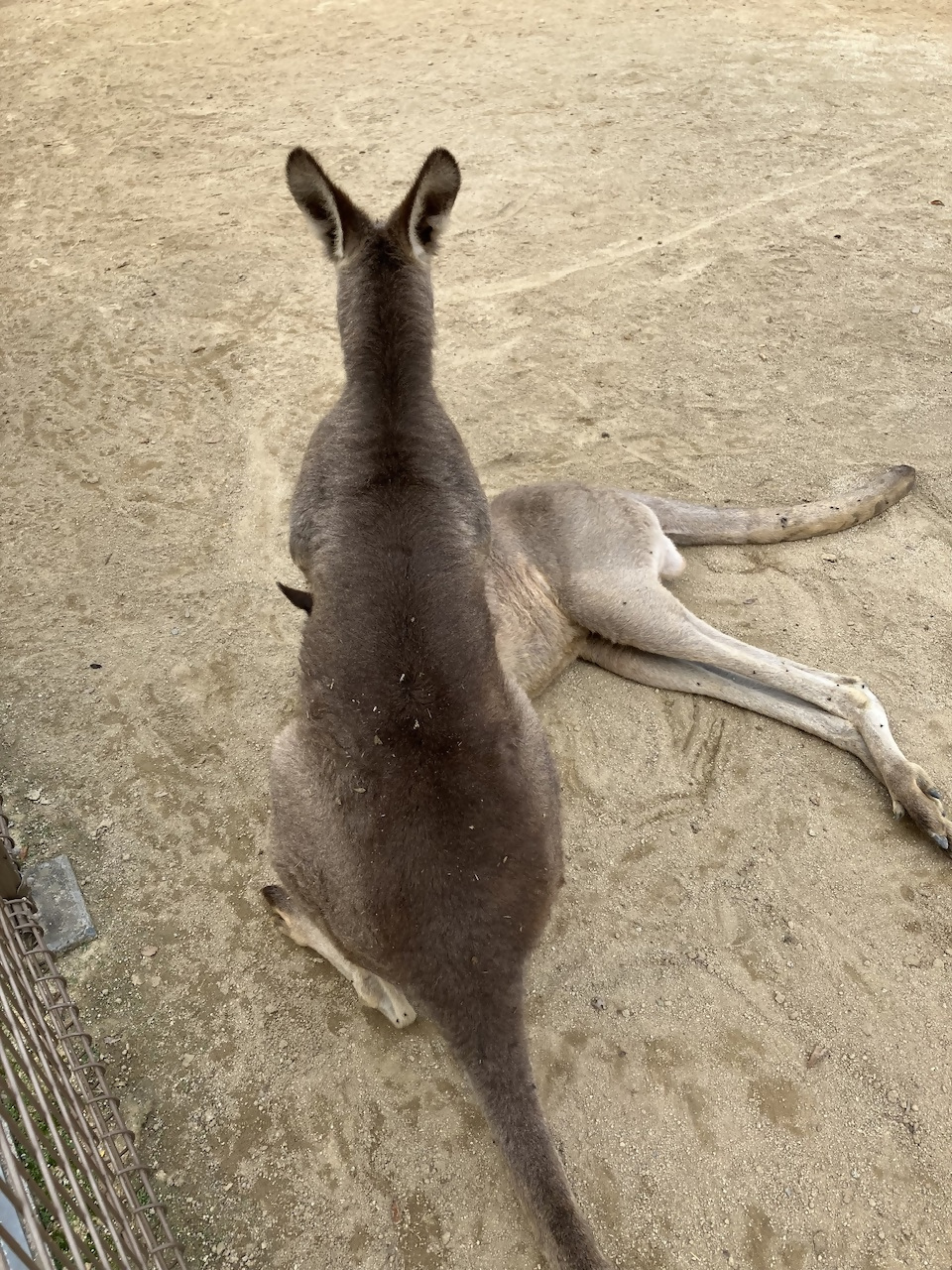 グリーンパークの写真3