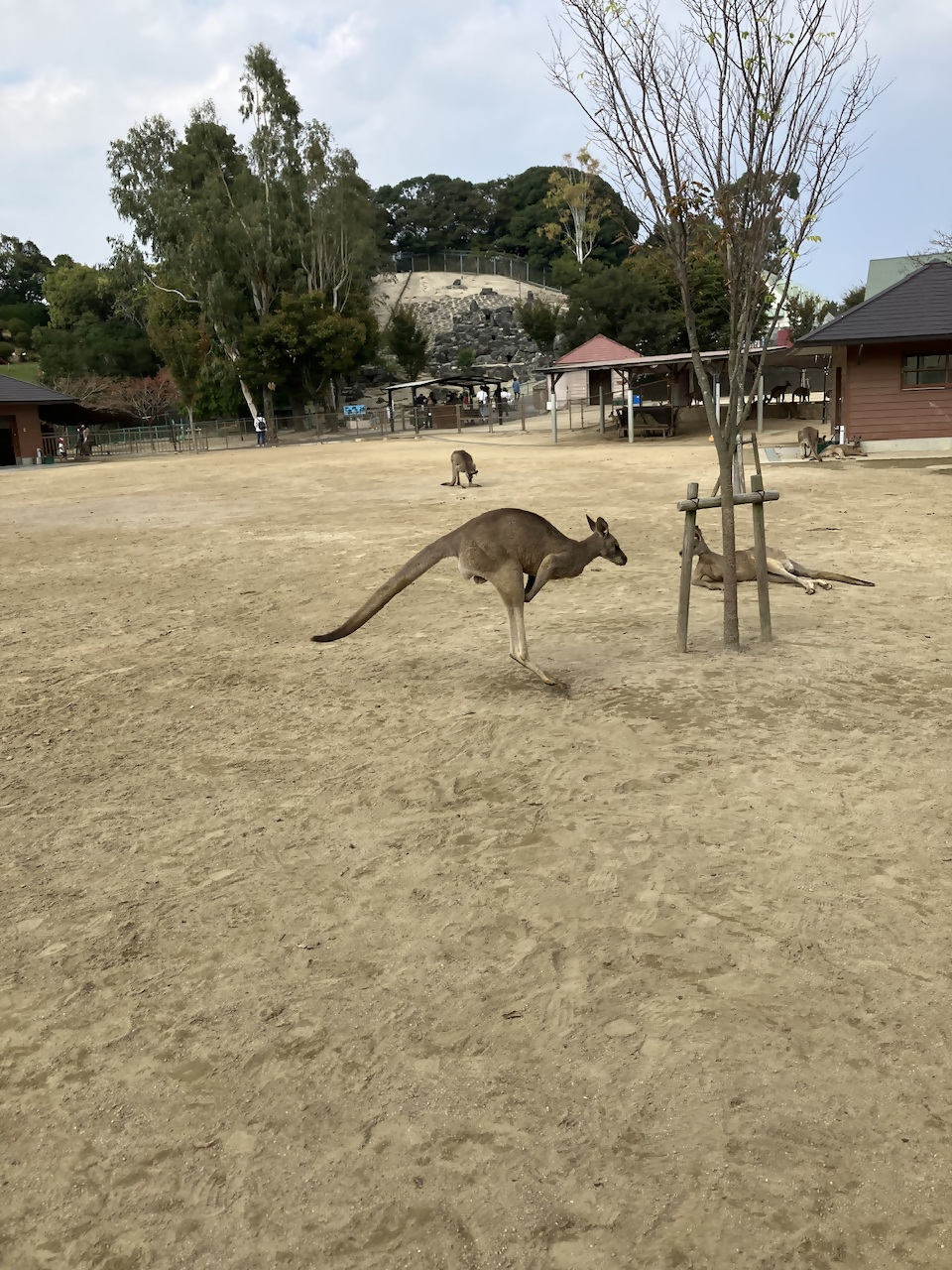 グリーンパークの写真2