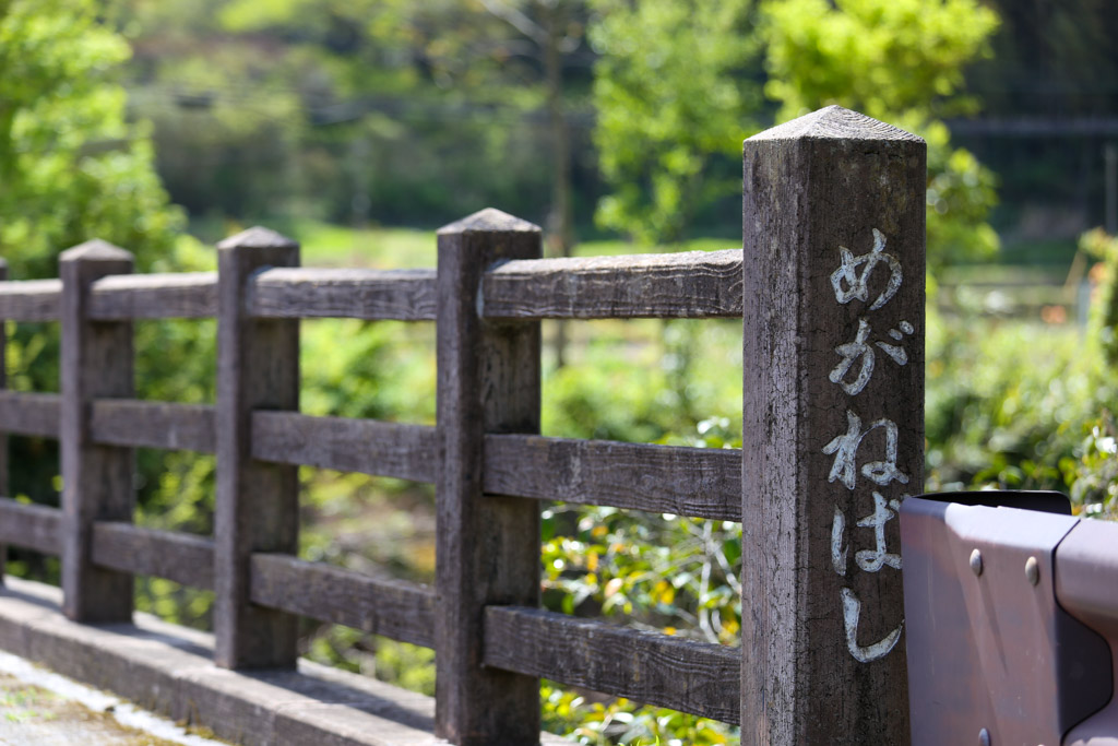春吉の眼鏡橋の写真5