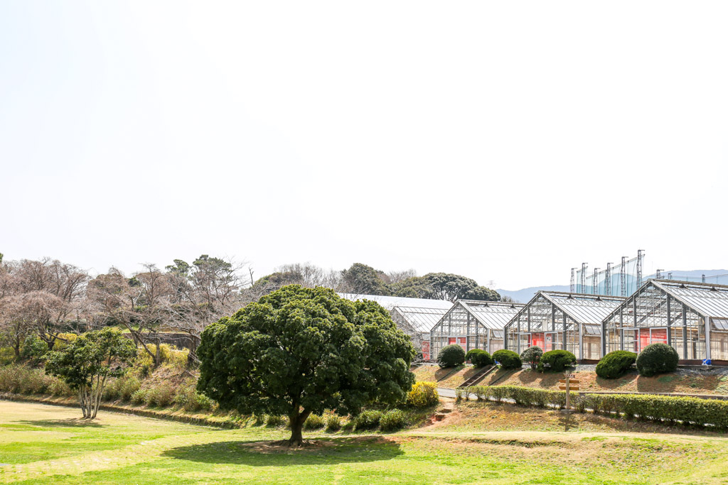 花農丘公園　総合農事センターの写真1