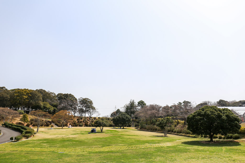 花農丘公園　総合農事センターの写真2