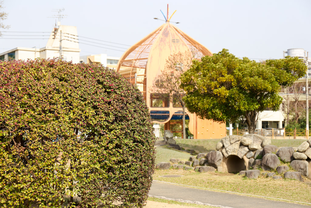 勝山公園　桜の写真3