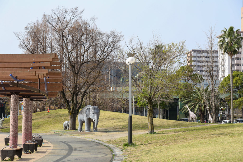 勝山公園　桜の写真4