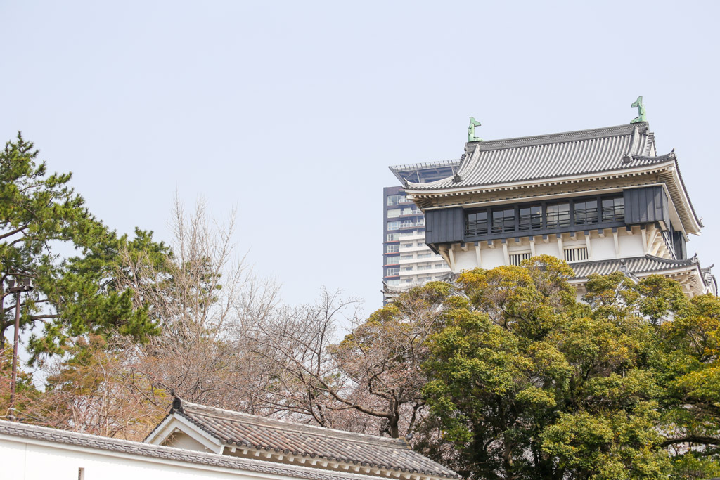 小倉城　桜の写真1