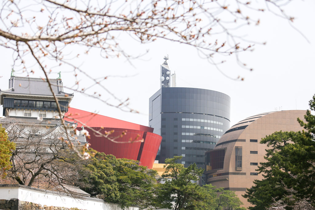 小倉城　桜の写真8
