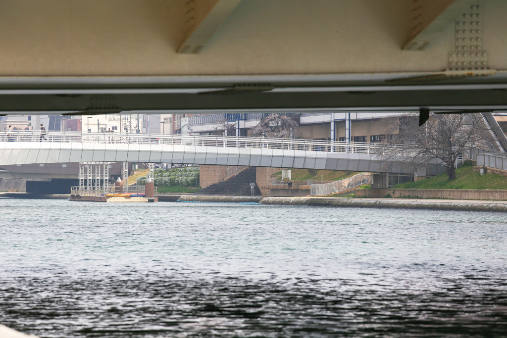 紫川　橋1の写真2