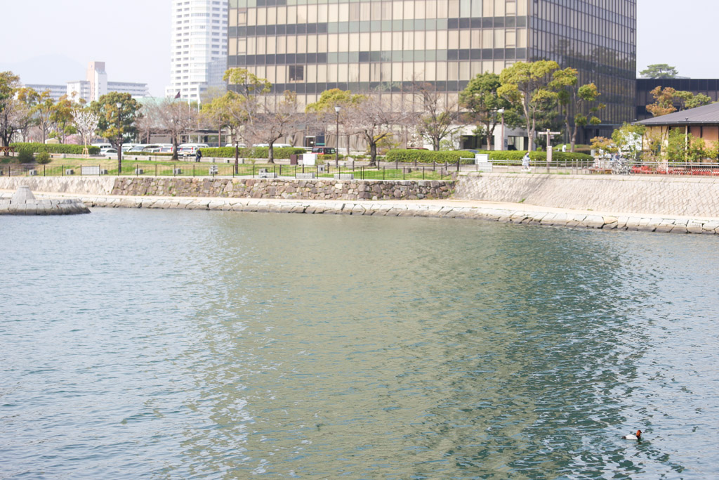 紫川　橋1の写真15