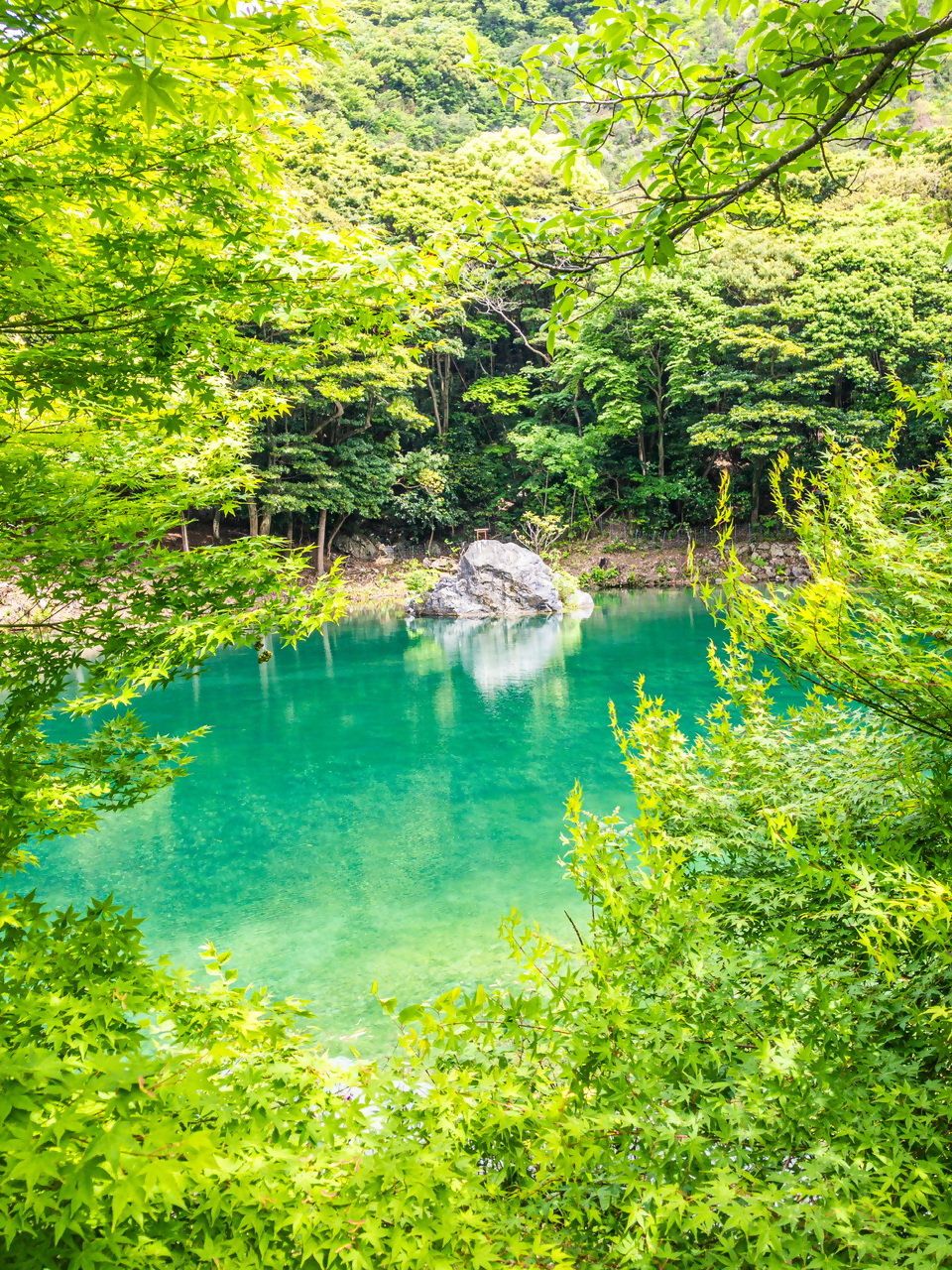 お糸の池の写真3