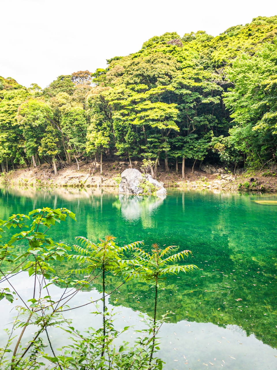 お糸の池の写真4