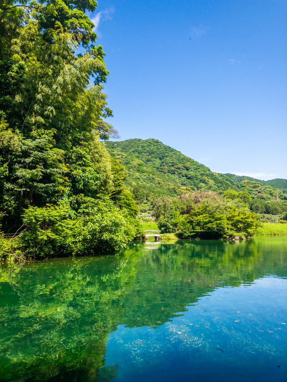 お糸の池の写真6