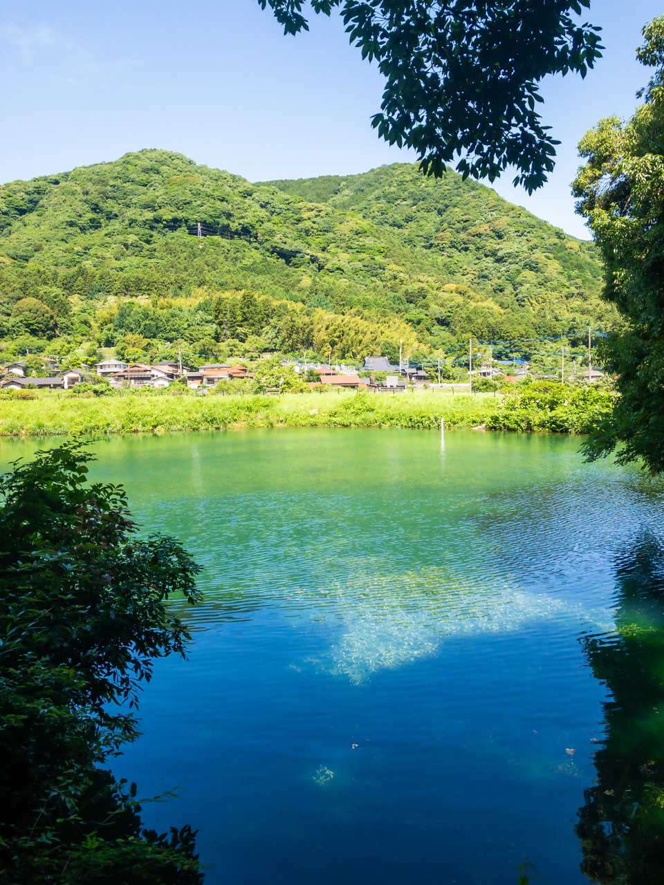 お糸の池の写真8