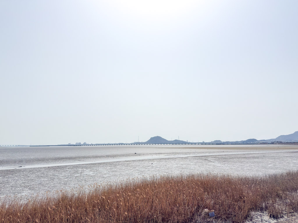 曽根東臨海スポーツ公園の写真1