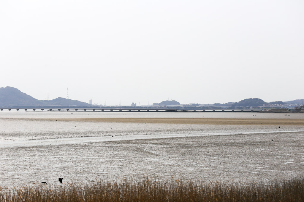 曽根東臨海スポーツ公園の写真12