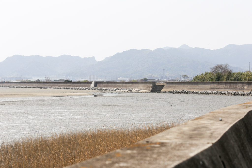 曽根東臨海スポーツ公園の写真13