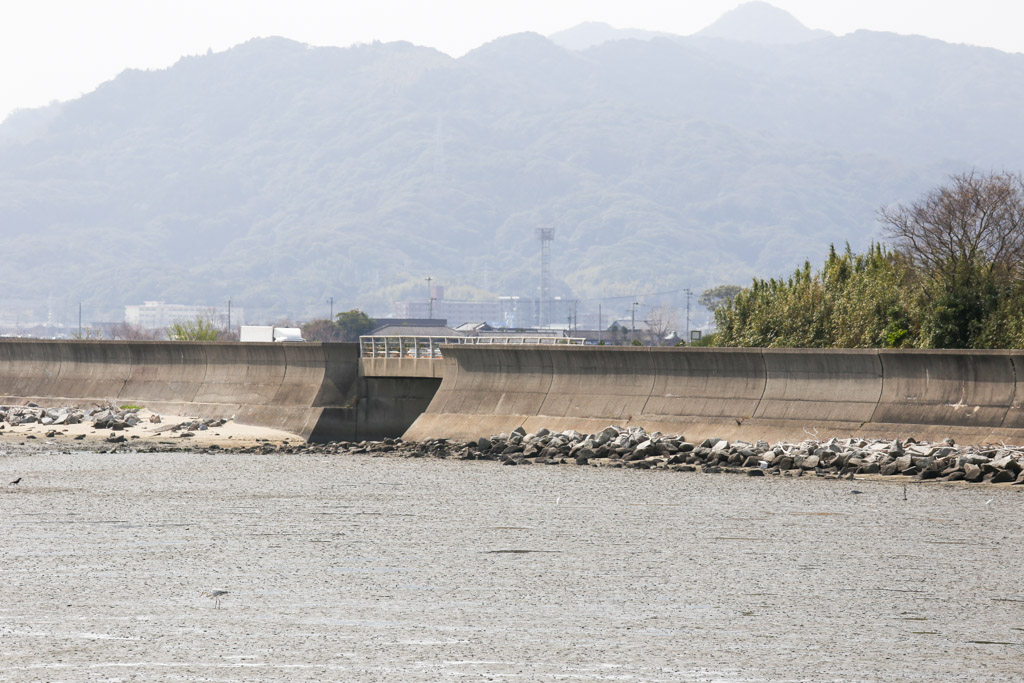 曽根東臨海スポーツ公園の写真17