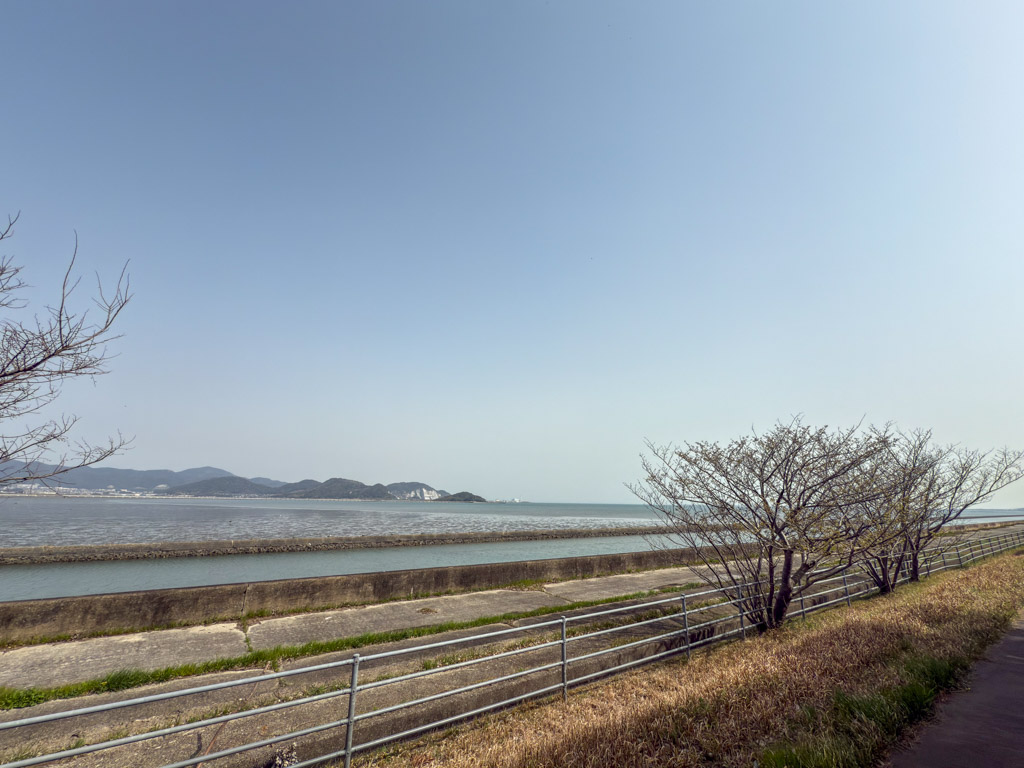 曽根干潟1の写真3