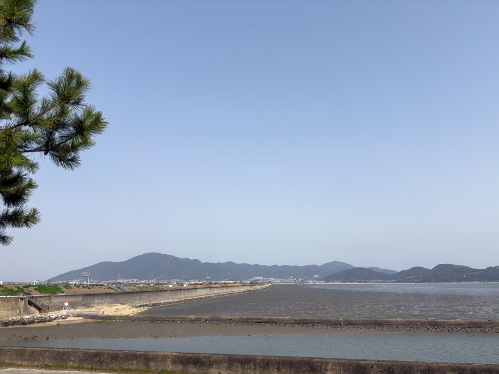 曽根干潟1の写真5