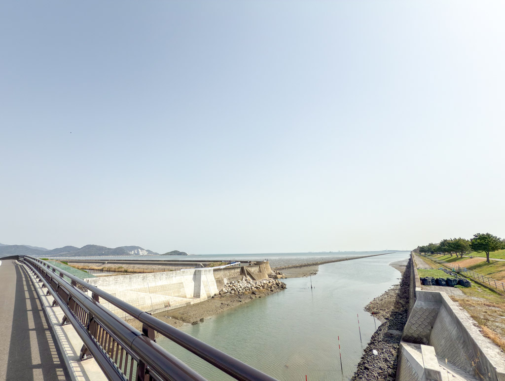 曽根干潟1の写真8
