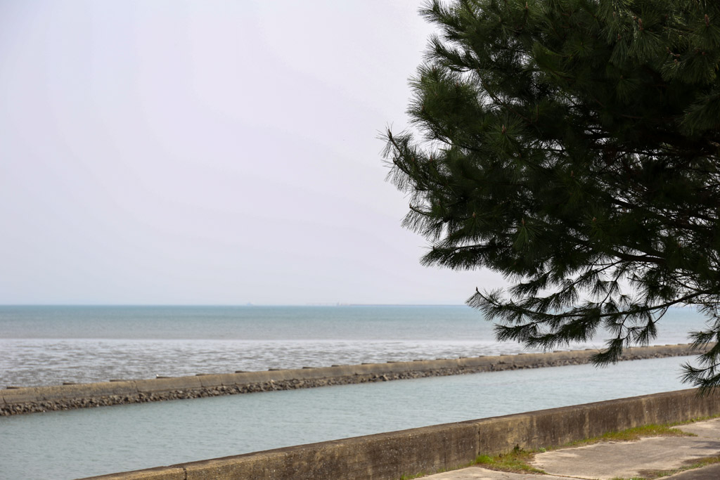 曽根干潟1の写真14
