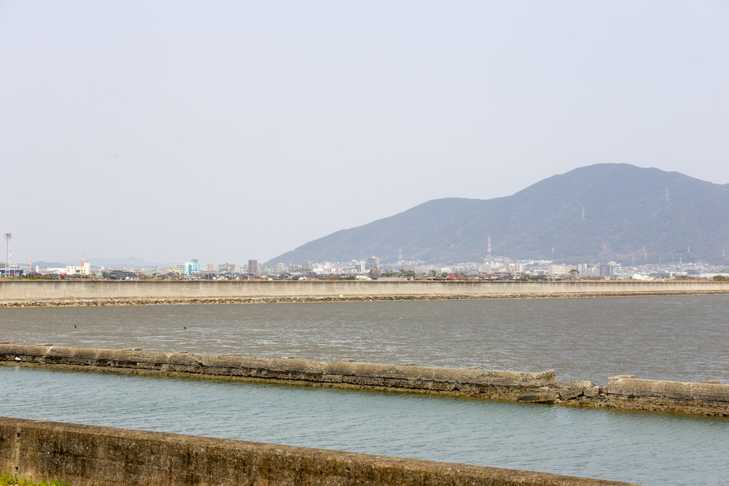曽根干潟1の写真30