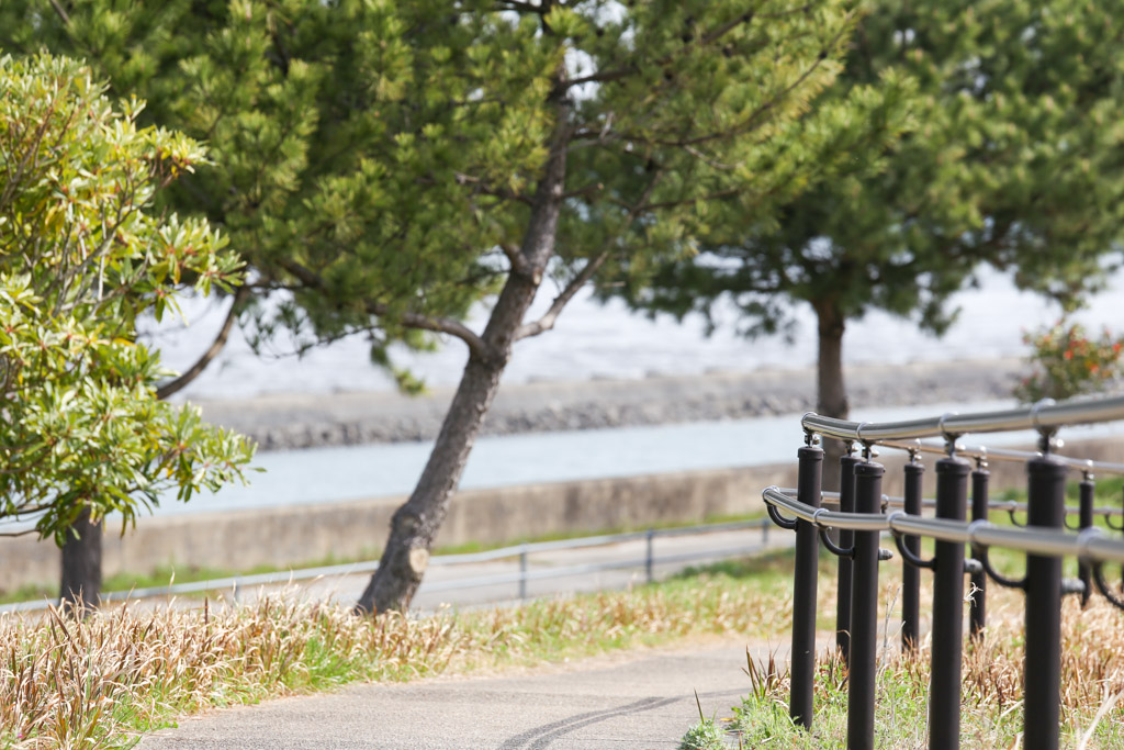 曽根干潟1の写真58