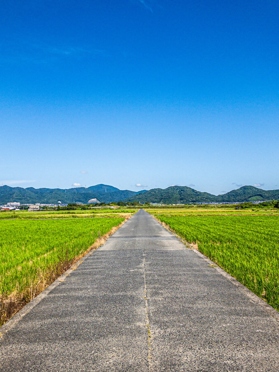 曽根新田の写真6