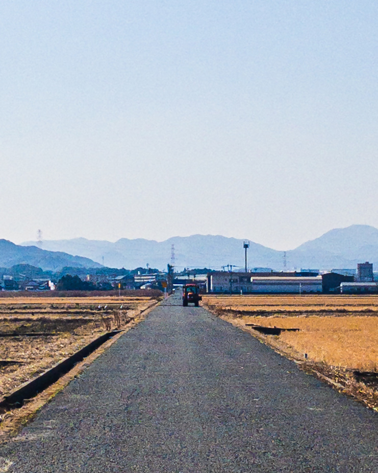 曽根新田の写真3
