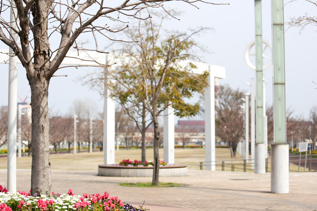 あさの汐風公園　桜　噴水の写真7
