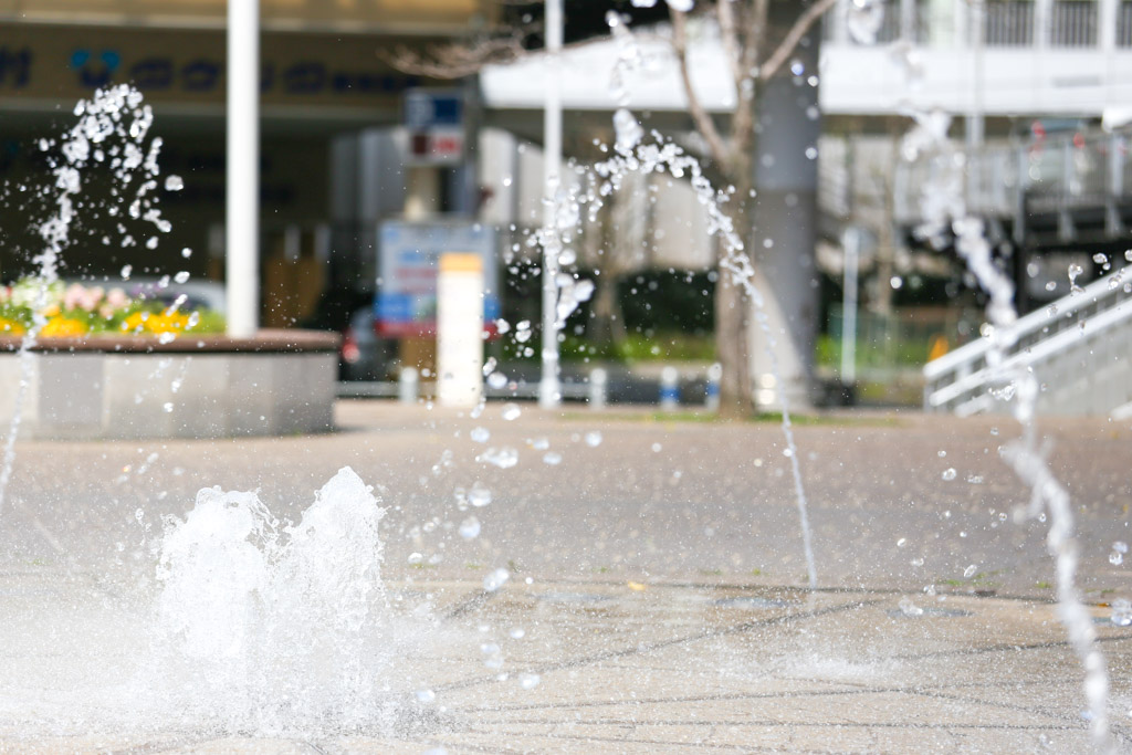 あさの汐風公園　桜　噴水の写真11