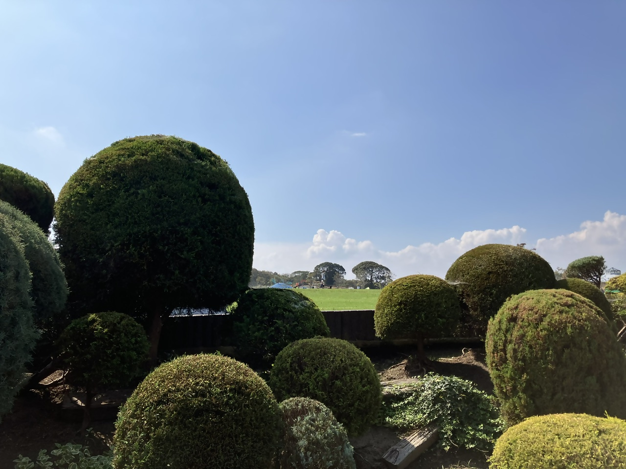グリーンパークの写真10
