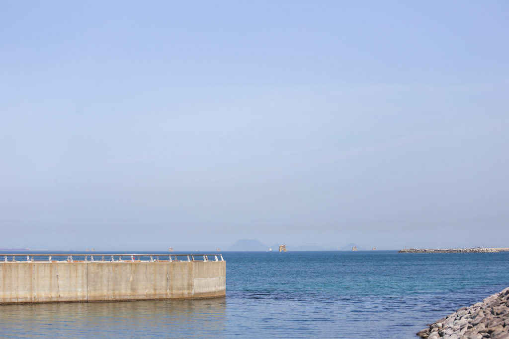 ひびき海の公園（フィッシャリーナ）の写真18