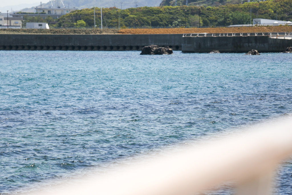 ひびき海の公園1の写真18
