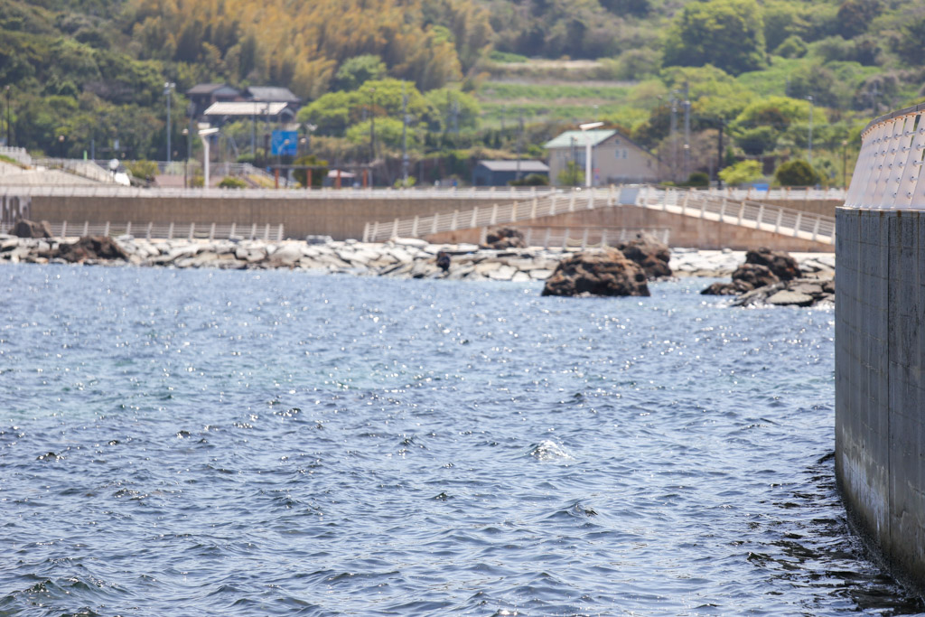 ひびき海の公園1の写真23