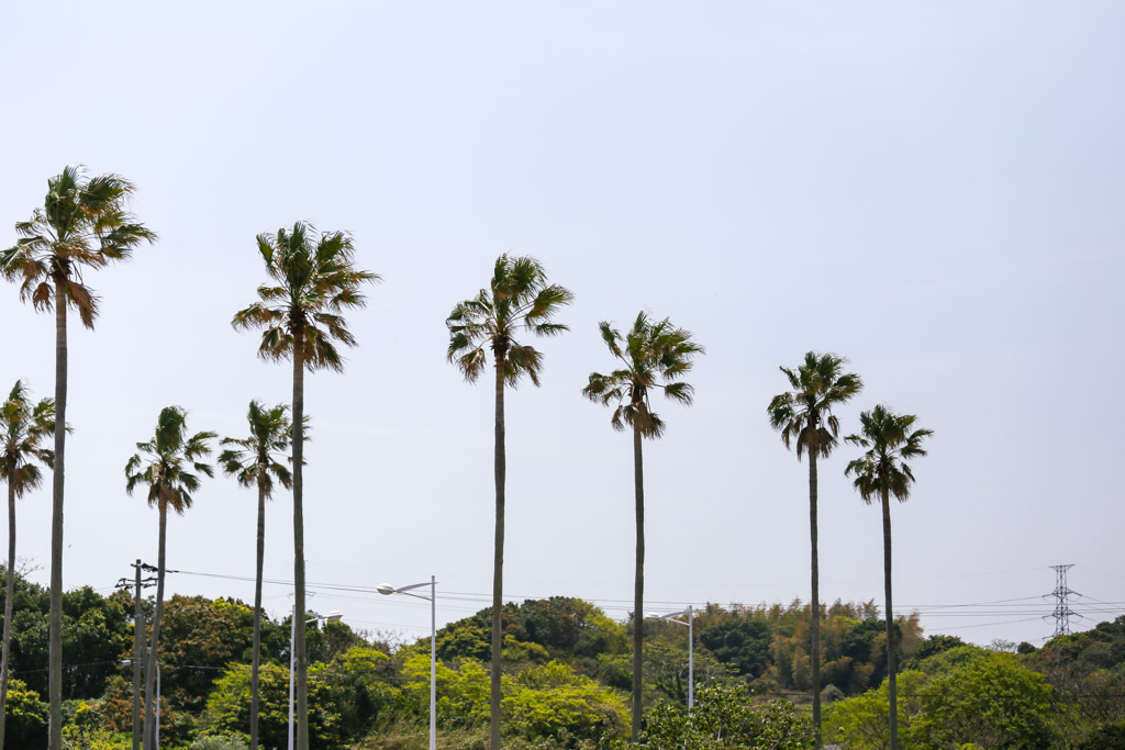 ひびき海の公園1の写真50