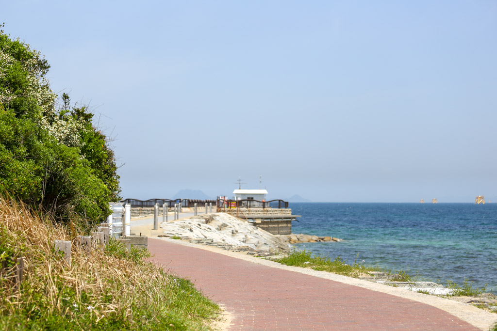 ひびき海の公園1の写真59