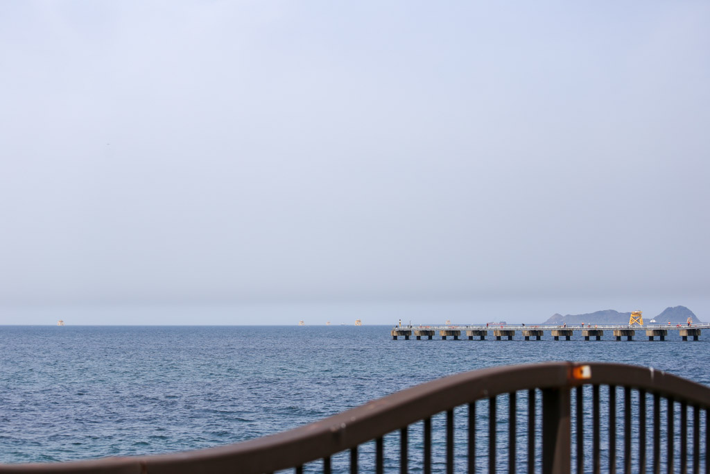 ひびき海の公園1の写真74