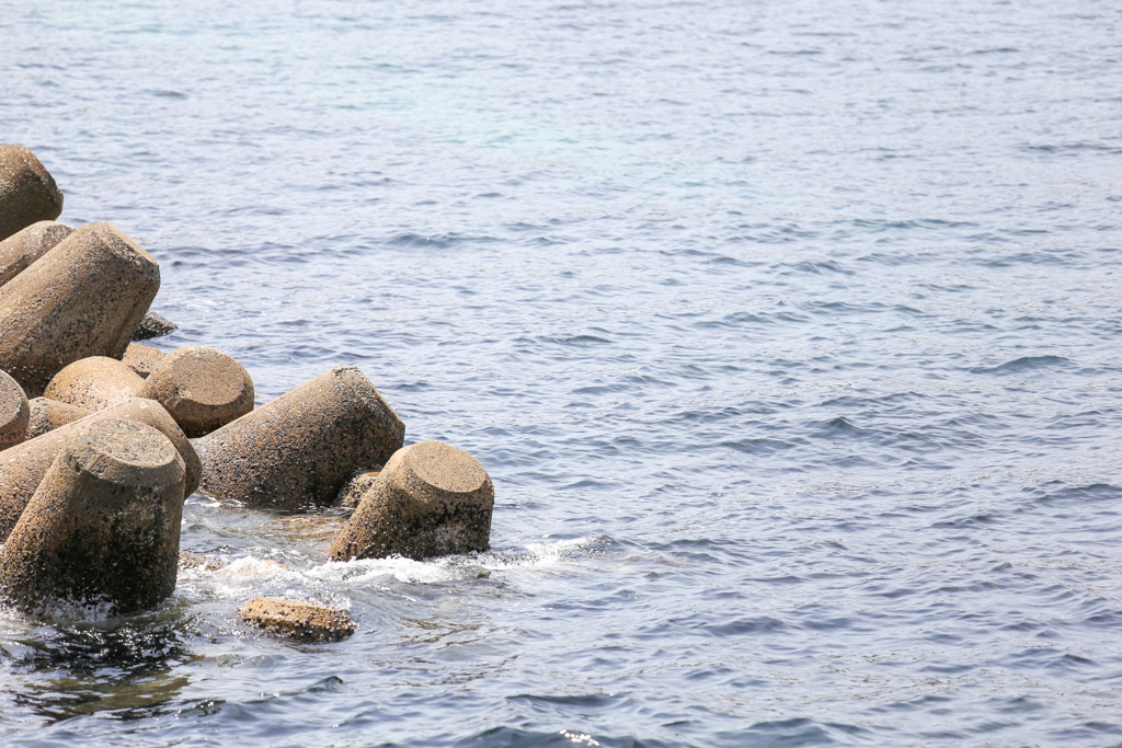 ひびき海の公園1の写真77