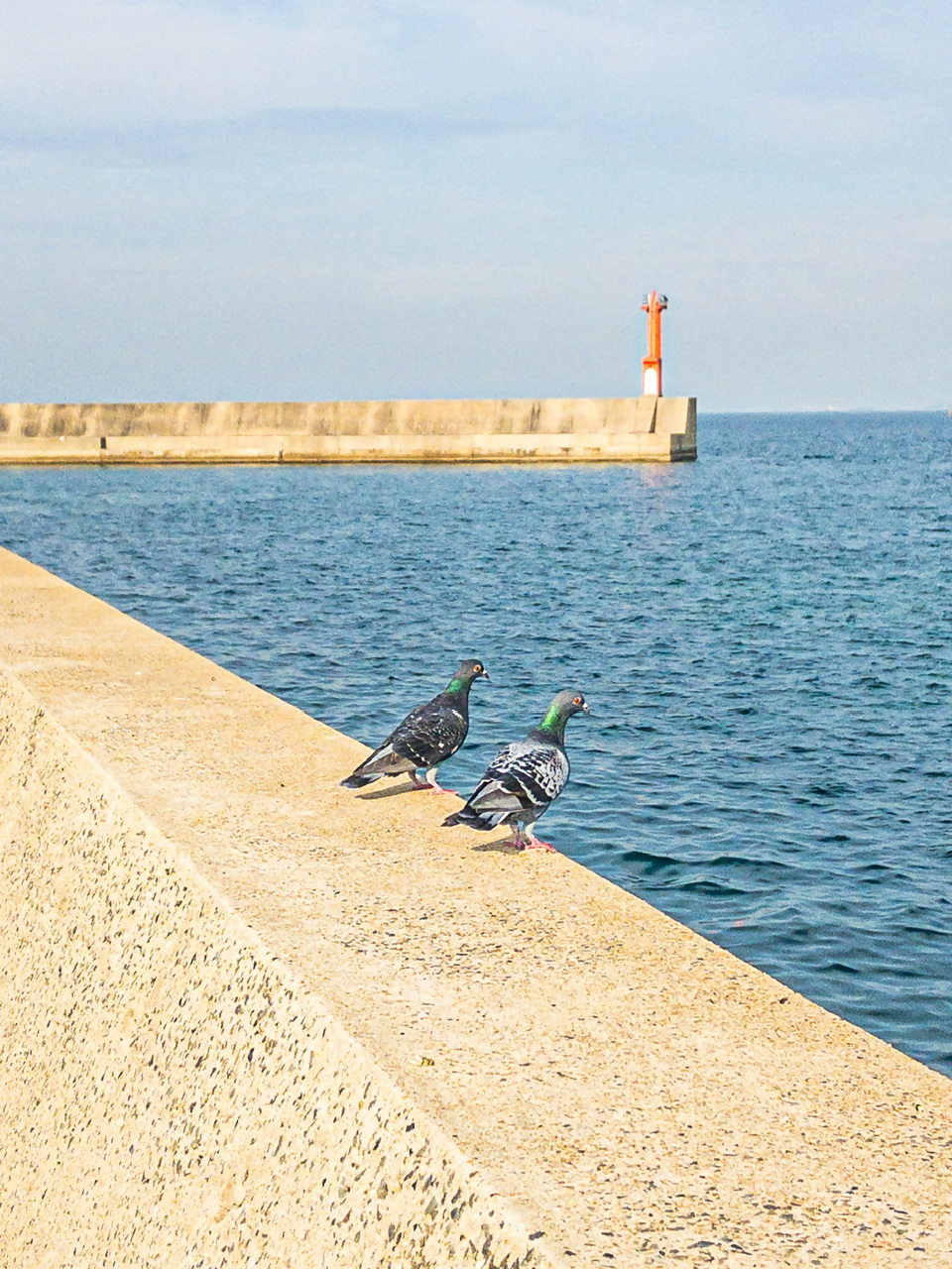ひびき海の公園2の写真3