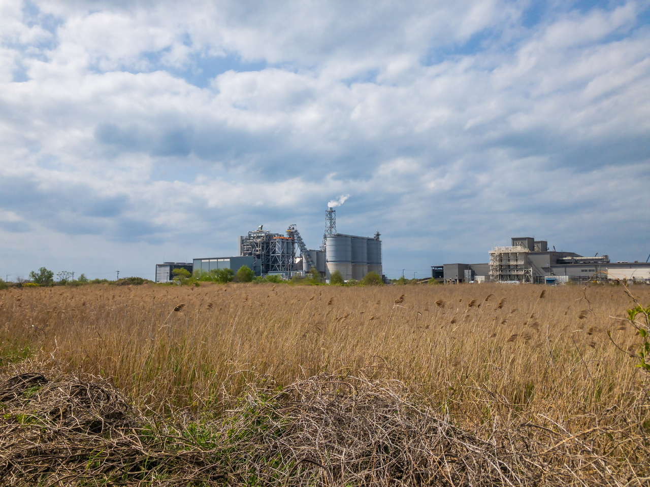 響灘ビオトープの写真3