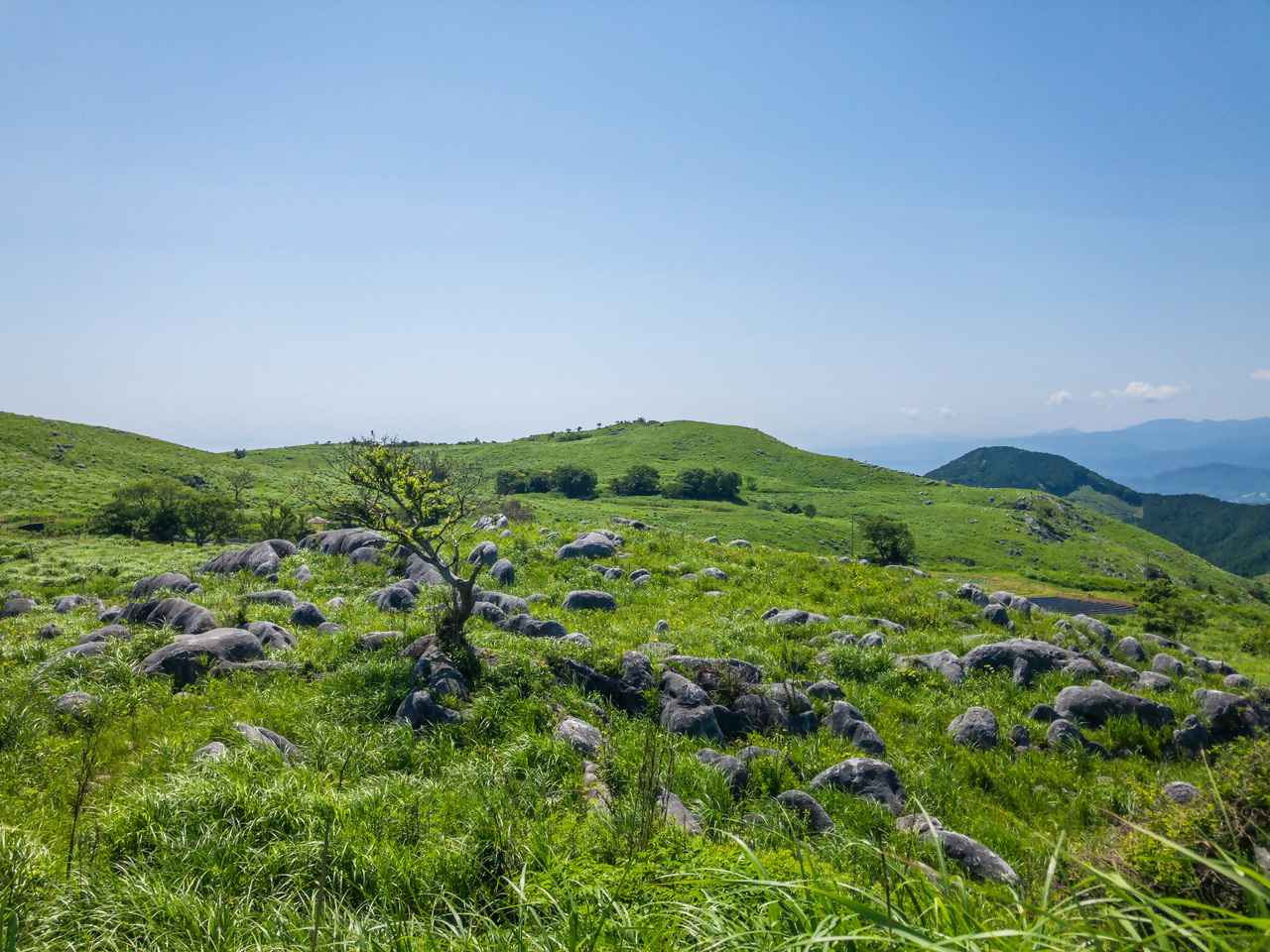 平尾台2の写真4